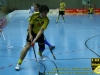 1.BL Herren 2008/2009 